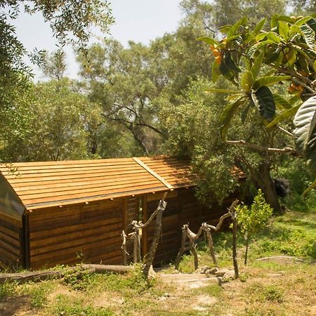 Pelekas Olive Grove Oasis Room No4 Exterior foto